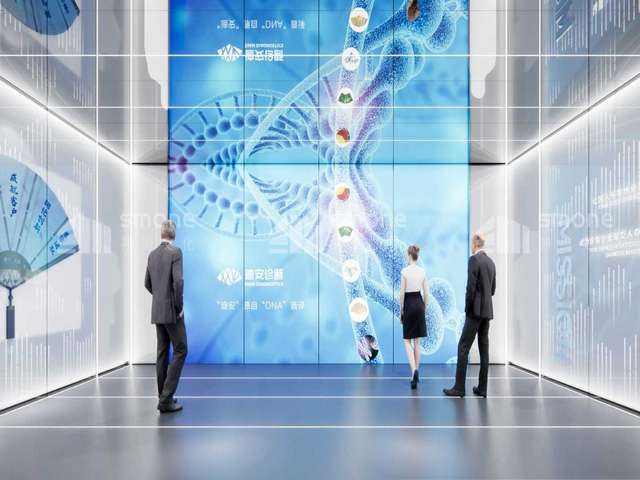 龙岗捷豹车窗膜多少钱