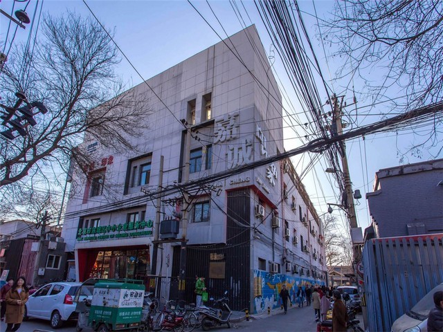 雅安庭院草皮销售