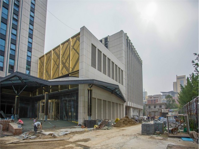 嘉定绿植租赁送货上门